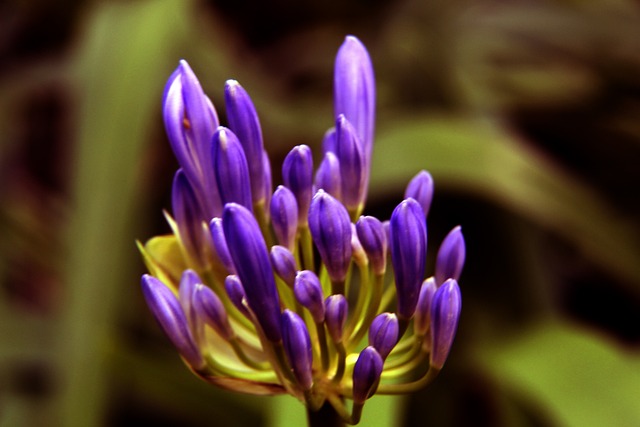 共同目标 共同目标