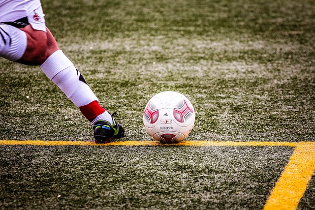 也为意甲的 也为意甲的