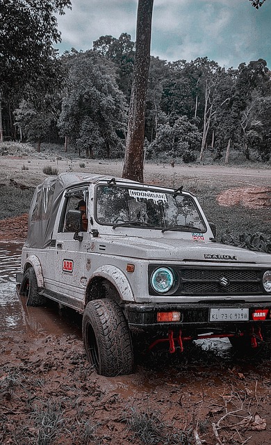 从贝克汉姆 从贝克汉姆