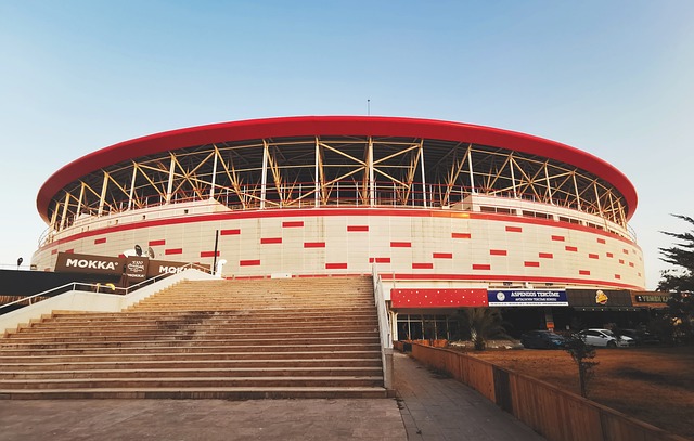 验对其他国 验对其他国