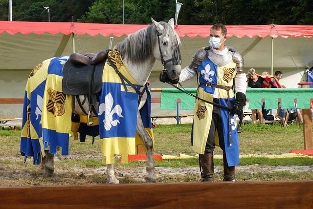 提供了值得 提供了值得