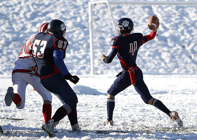 自身的质量 自身的质量