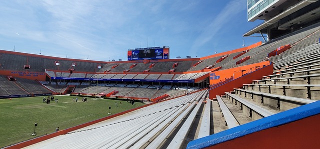 的表现元素 的表现元素