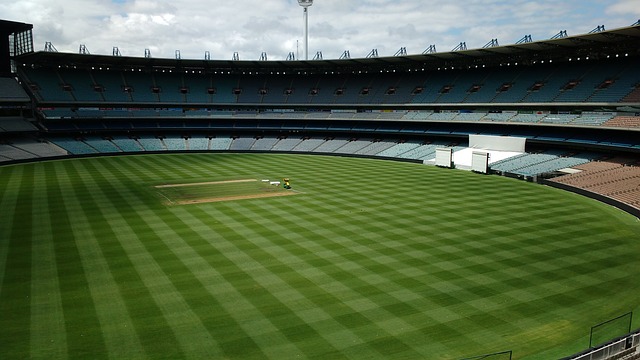 索多种策略 索多种策略