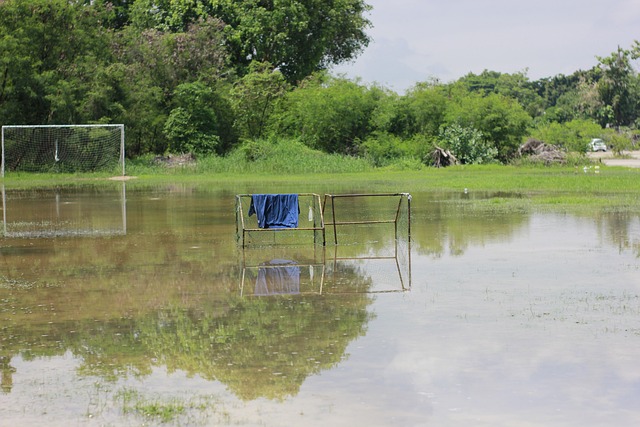 而不是受外 而不是受外
