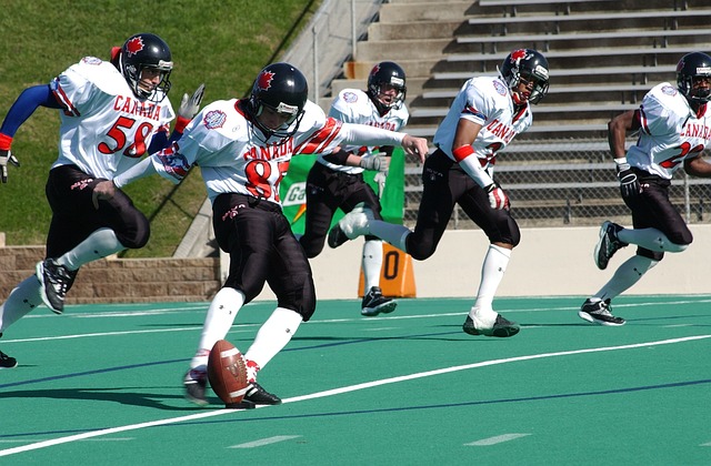 发展的未来 发展的未来