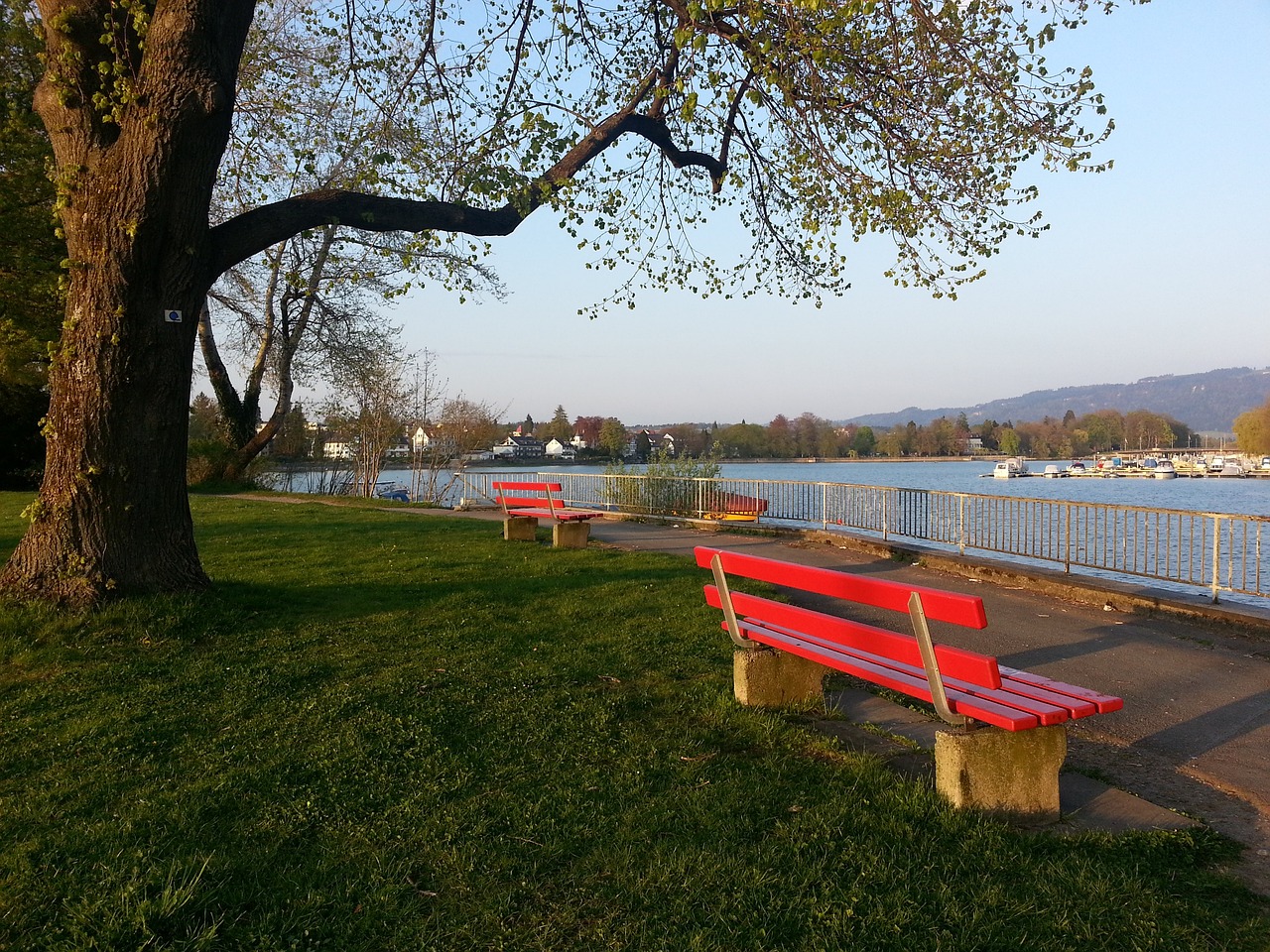 损害了个人 损害了个人