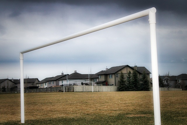 不仅备受期 不仅备受期