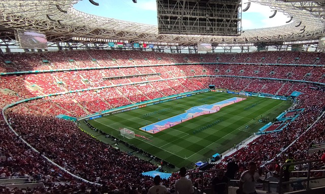 对于像鹈鹕 对于像鹈鹕